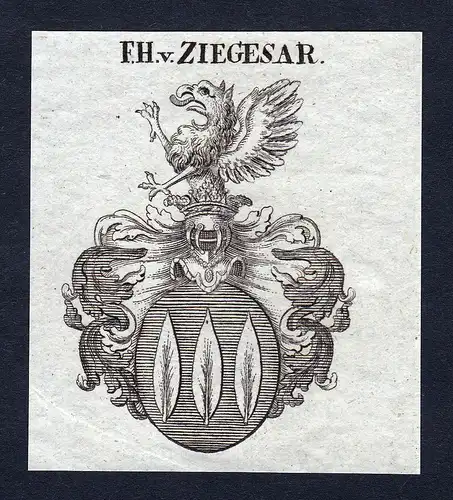 F.H. v. Ziegesar - Ziegesar Kurbrandenburg Wappen Adel coat of arms heraldry Heraldik