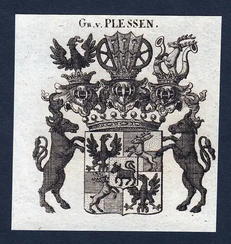 Gr. v. Plessen - Plessen Sachsen Wappen Adel coat of arms heraldry Heraldik