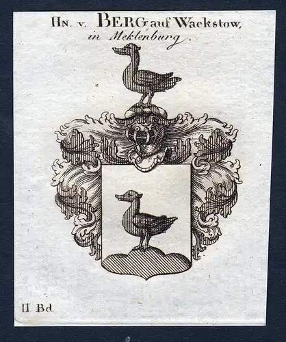 Hn. v. Berg auf Wackstow, in Meklenburg - Berg Wackstow Meklenburg Mecklenburg Wappen Adel coat of arms herald