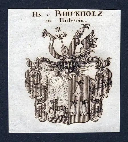 Hn. v. Birckholz in Holstein - Birckholz Birkholtz Holstein Wappen Adel coat of arms heraldry Heraldik