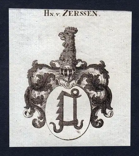 Hn. v. Zerssen - Zerssen Wappen Adel coat of arms Kupferstich  heraldry Heraldik