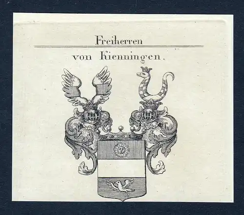 Von Kienningen - Kienningen Wappen Adel coat of arms Kupferstich  heraldry Heraldik