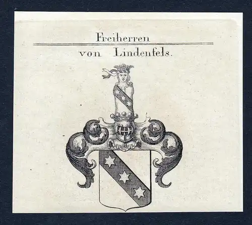 Von Lindenfels - Lindenfels Wappen Adel coat of arms Kupferstich  heraldry Heraldik