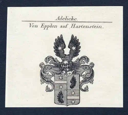 Von Epplen auf Hartenstein - Epplen von Hartenstein Epplen-Hartenstein Wappen Adel coat of arms Kupferstich  h