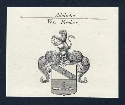 Von Fischer - Fischer Wappen Adel coat of arms Kupferstich  heraldry Heraldik