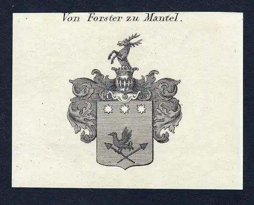 Von Forster zu Mantel- Forster zu Mantel Wappen Adel coat of arms Kupferstich  heraldry Heraldik