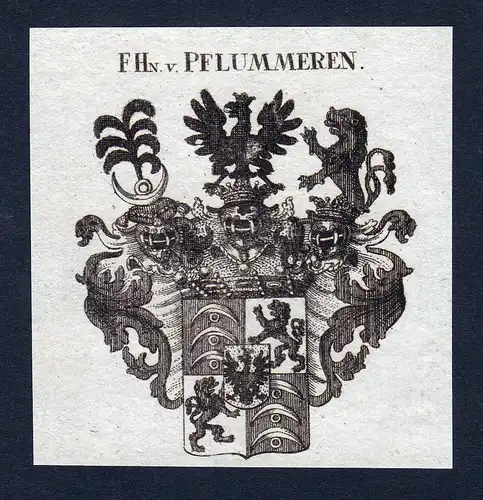 F.Hn. v. Pflummeren - Pflummeren Pflummern Wappen Adel coat of arms Kupferstich  heraldry Heraldik