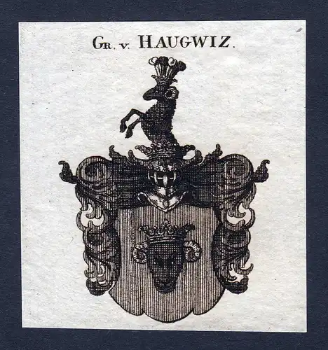 Gr. v. Haugwiz - Haugwiz Haugwitz Wappen Adel coat of arms heraldry Heraldik