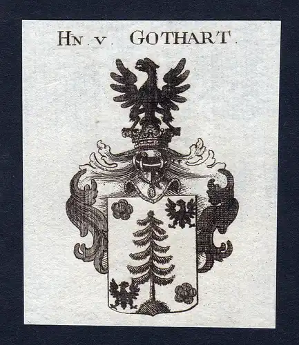 Hn v. Gothart - Gothart Gothard Wappen Adel coat of arms Kupferstich  heraldry Heraldik