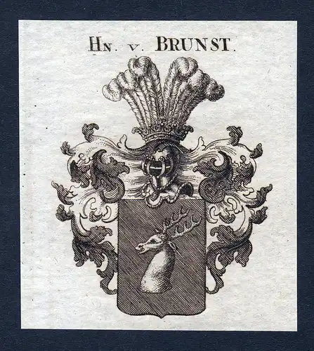 Hn. v. Brunst - Brunst Wappen Adel coat of arms Kupferstich  heraldry Heraldik