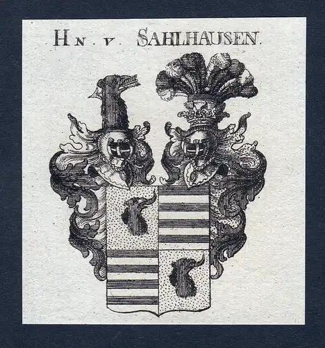 Hn. v. Sahlhausen - Saalhausen Salhausen Sahlhausen Wappen Adel coat of arms Kupferstich  heraldry Heraldik
