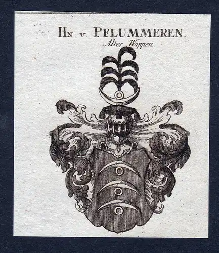 Hn. v. Pflummeren - Pflummeren Pflummern Wappen Adel coat of arms Kupferstich  heraldry Heraldik