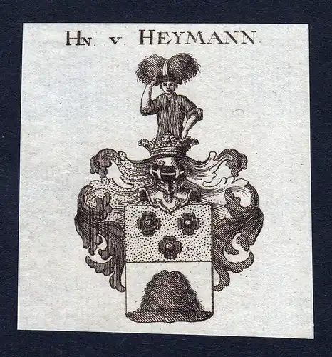 Hn. v. Heymann - Heymann Wappen Adel coat of arms Kupferstich  heraldry Heraldik