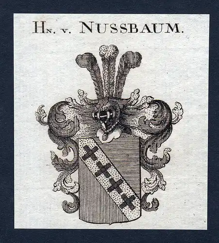 Hn. v. Nussbaum - Nussbaum Nußbaum Wappen Adel coat of arms heraldry Heraldik