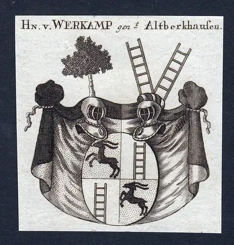 Hn. v. Werkamp genannt Altberkhausen - Altberkhausen Werkamp Wappen Adel coat of arms heraldry Heraldik