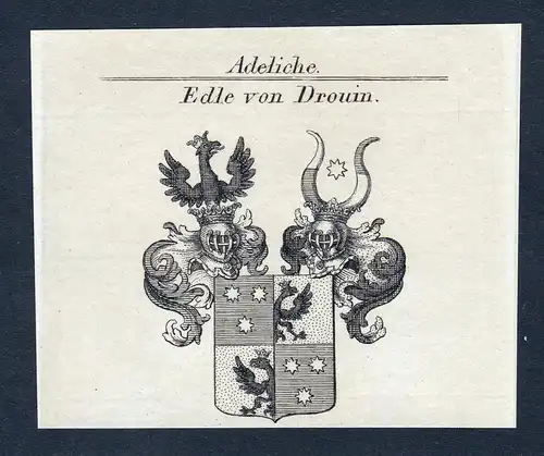 Edle von Drouin - Drouin Wappen Adel coat of arms Kupferstich  heraldry Heraldik