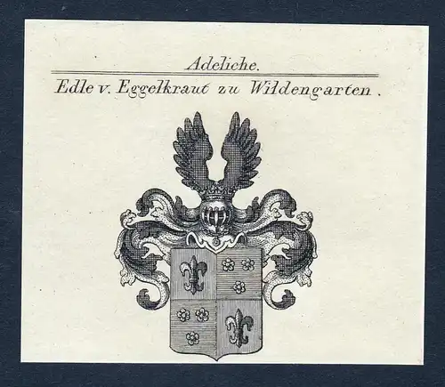 Edle v. Eggelkraut zu Wildengarten - Eggelkraut zu Wildengarten Wappen Adel coat of arms Kupferstich  heraldry