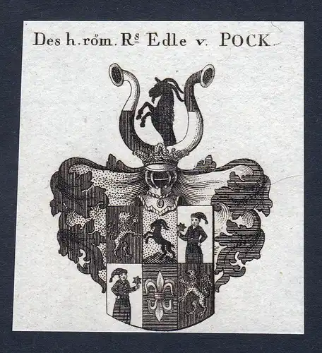 Des h. röm. Rs. Edle v. Pock - Pock Poc Pok Wappen Adel coat of arms heraldry Heraldik