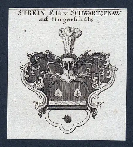 Strein, F. Hr. v. Schwartzenaw auf Ungerschütz - Schwartzenaw Schwarzenau Strein Ungerschütz Wappen Adel coa