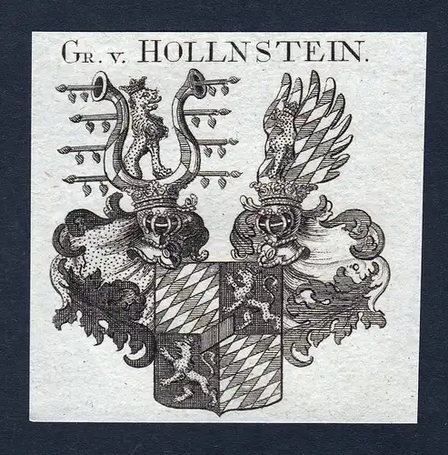 Gr. v. Hollnstein - Hollnstein Hollenstein Wappen Adel coat of arms heraldry Heraldik
