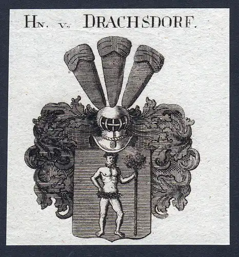 Hn. v. Drachsdorf - Hans Friedrich Drachsdorf Wappen Adel coat of arms heraldry Heraldik