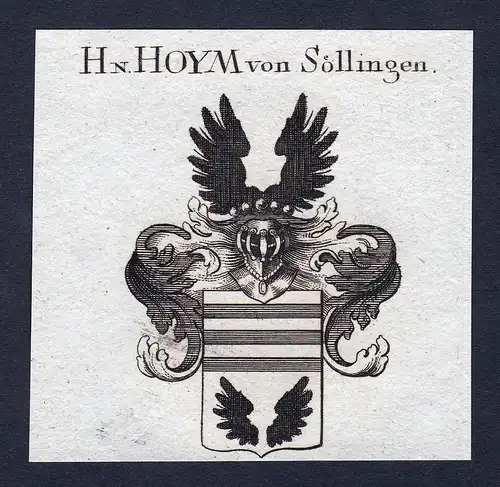 Hn. Hoym von Söllingen - Hoym Söllingen Anhalt Wappen Adel coat of arms heraldry Heraldik