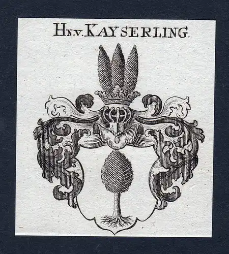 Hn. v. Kayserling - Kayserling Keyserling Wappen Adel coat of arms heraldry Heraldik