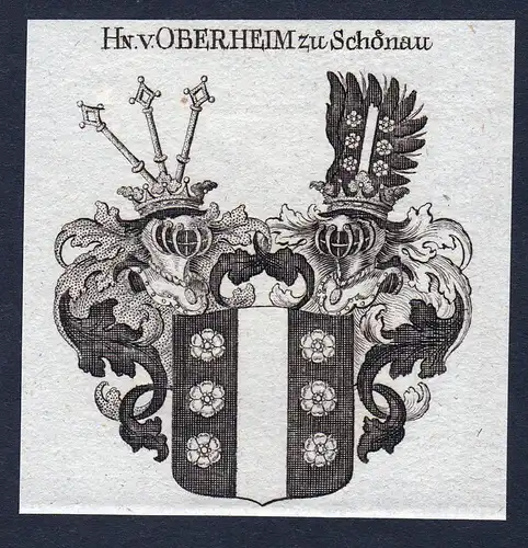 Hn. v. Oberheim zu Schönau - Oberheim Schönau Schoenau Wappen Adel coat of arms Kupferstich  heraldry Herald