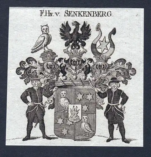 Hren. v. Senkenberg - Senkenberg Senckenberg Heinrich Christian Wappen Adel coat of arms Kupferstich  heraldry