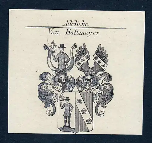 Von Haltmayer - Haltmayer Wappen Adel coat of arms Kupferstich  heraldry Heraldik
