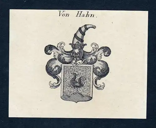 Von Hahn - Hahn Hane Wappen Adel coat of arms Kupferstich  heraldry Heraldik