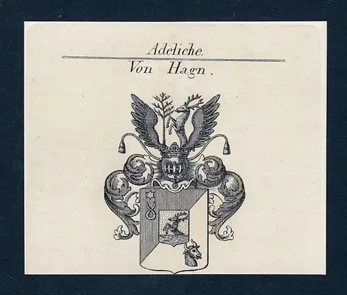 Von Hagen - Hagen Wappen Adel coat of arms Kupferstich  heraldry Heraldik