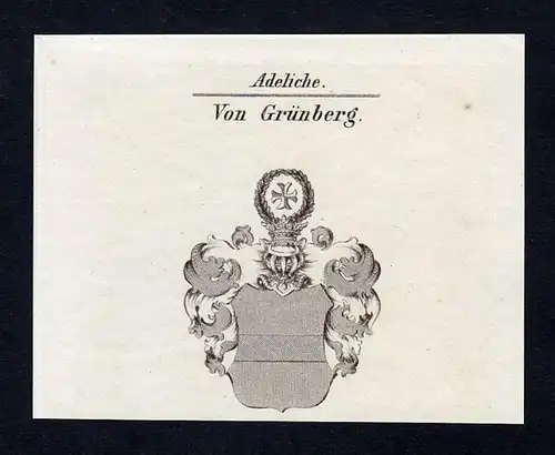 Von Grünberg - Grünberg Gruenberg Wappen Adel coat of arms Kupferstich  heraldry Heraldik