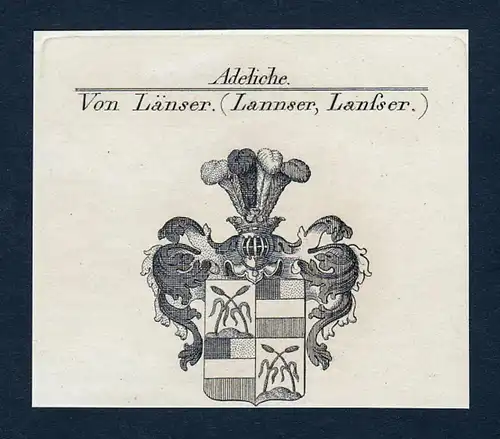 Von Länser (Lannser, Lansser)- Länser Lannser Lansser Lanser Wappen Adel coat of arms Kupferstich  heraldry