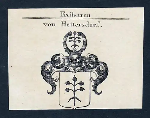 Von Hettersdorf - Hettersdorf Hettersdorff Heddersdorf Heddersdorff Wappen Adel coat of arms Kupferstich  hera