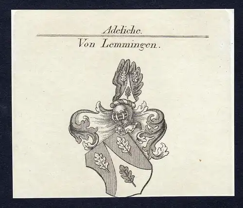 Von Lemmingen- Lemmingen Wappen Adel coat of arms Kupferstich  heraldry Heraldik
