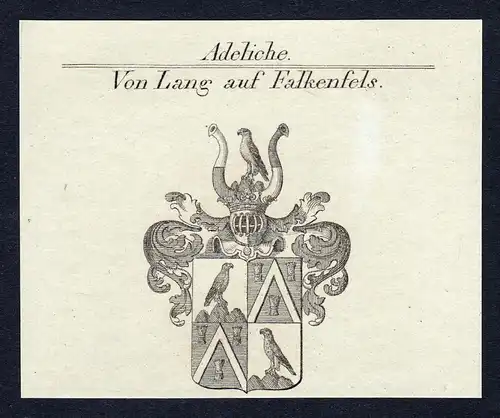 Von Lang auf Falkenfels- Lang Falkenfels Wappen Adel coat of arms Kupferstich  heraldry Heraldik
