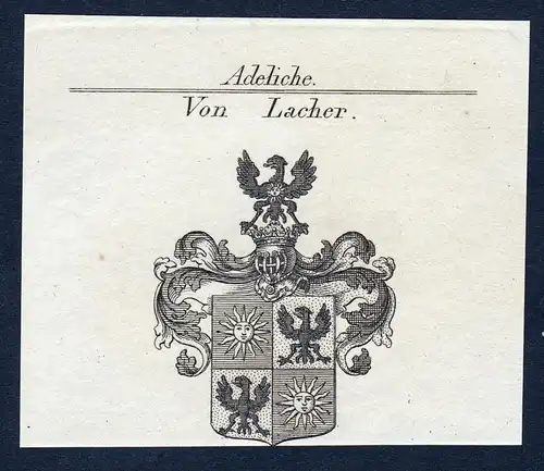 Von Lacher- Lacher Wappen Adel coat of arms Kupferstich  heraldry Heraldik