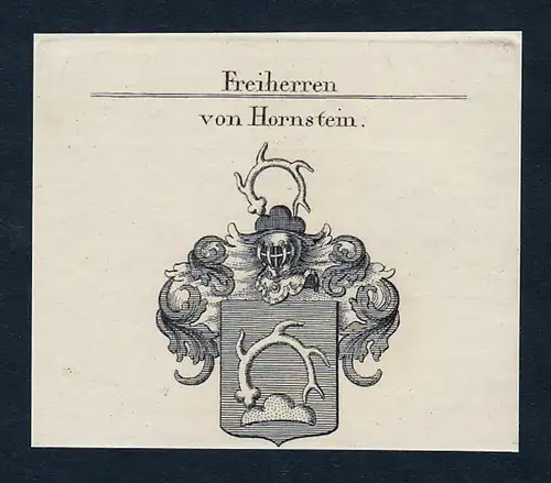 Von Hornstein - Hornstein Wappen Adel coat of arms Kupferstich  heraldry Heraldik