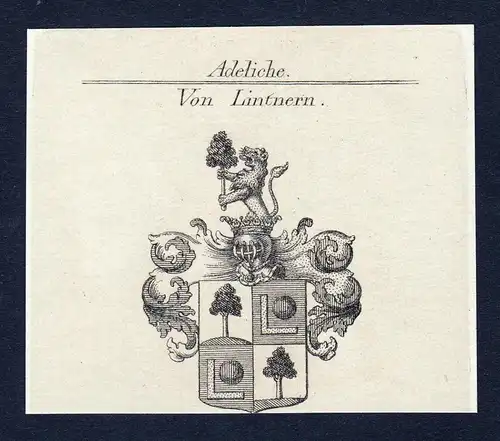 Von Lintnern - Lintnern Wappen Adel coat of arms Kupferstich  heraldry Heraldik