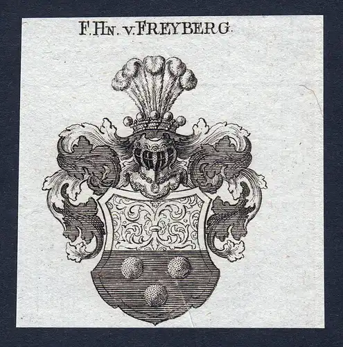 F. Hn. v. Freyberg - Freyberg Schwaben Wappen Adel coat of arms Kupferstich  heraldry Heraldik
