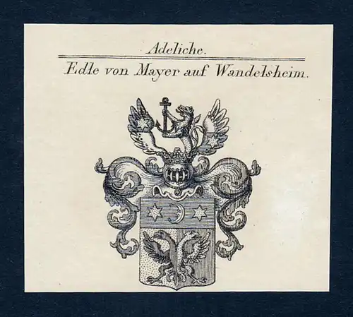Edle von Mayer auf Wandelsheim - Mayer auf Wandelsheim Wappen Adel coat of arms Kupferstich  heraldry Heraldik