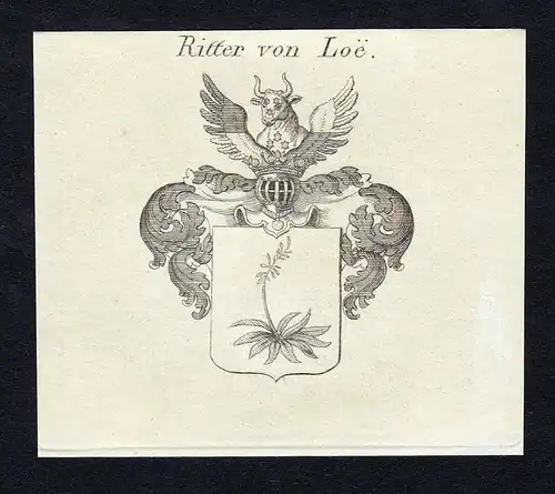 Ritter von Loe - Loe Wappen Adel coat of arms Kupferstich  heraldry Heraldik