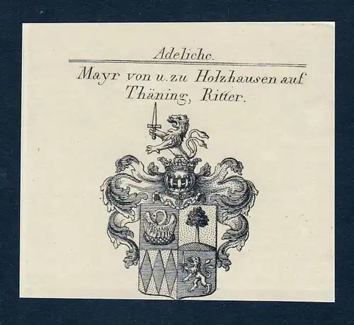 Mayr von u. zu Holzhausen auf Thäning, Ritter - Mayr von und zu Holzhausen auf Thäning Thening Wappen Adel c
