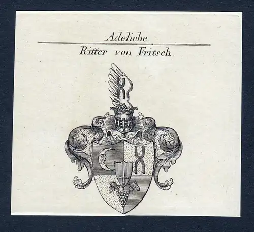 Ritter von Fritsch- Fritsch Wappen Adel coat of arms Kupferstich  heraldry Heraldik