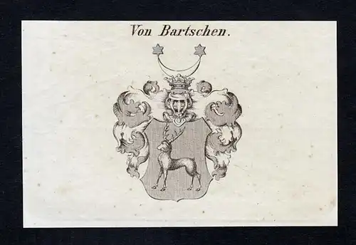 Von Bartschen - Bartsch Bartschen Wappen Adel coat of arms Kupferstich  heraldry Heraldik