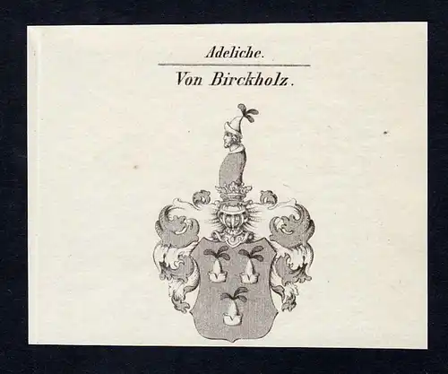 Von Birckholz - Birckholtz Birckholz Wappen Adel coat of arms Kupferstich  heraldry Heraldik