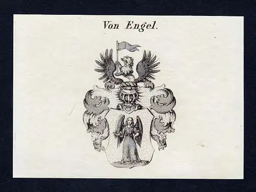 Von Engel - Engel Wappen Adel coat of arms Kupferstich  heraldry Heraldik