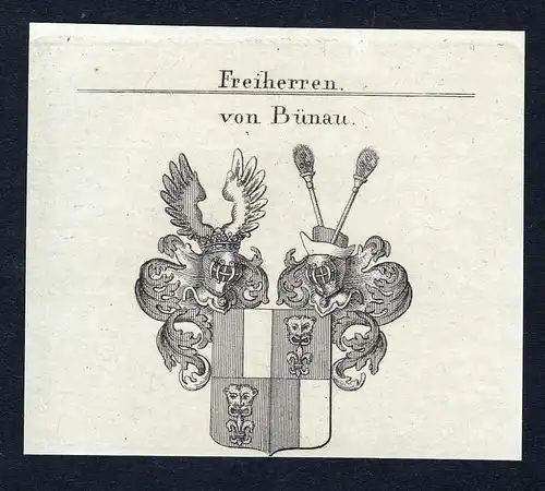 Von Bünau - Bünau Buenau Wappen Adel coat of arms Kupferstich  heraldry Heraldik