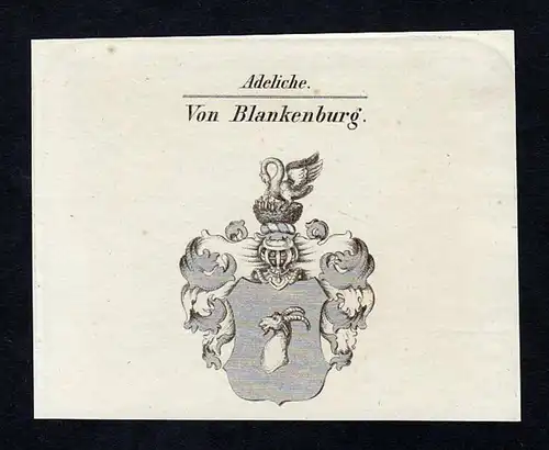 Von Blankenburg - Blanckenburg Blankenburg Wappen Adel coat of arms Kupferstich  heraldry Heraldik